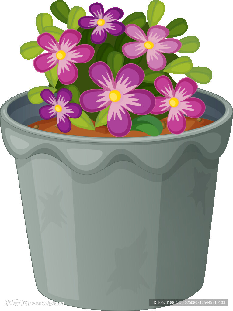 花盆中的紫色花卉