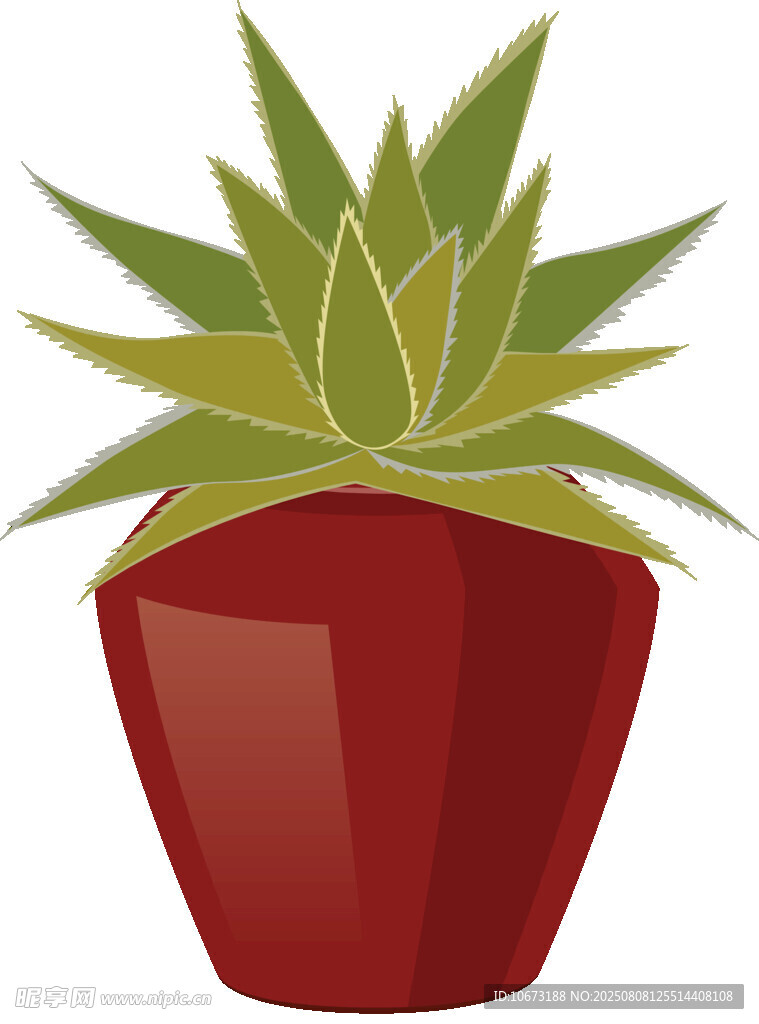 红色花盆中的多肉植物