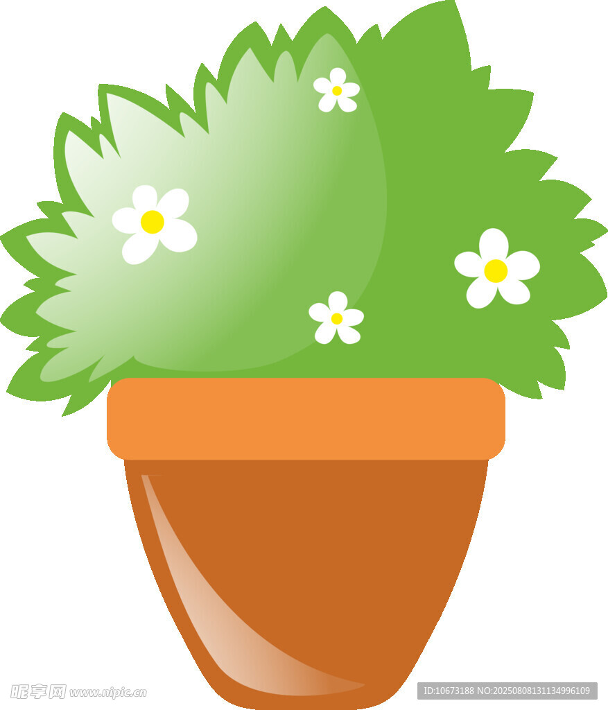 花盆中的绿植与小花