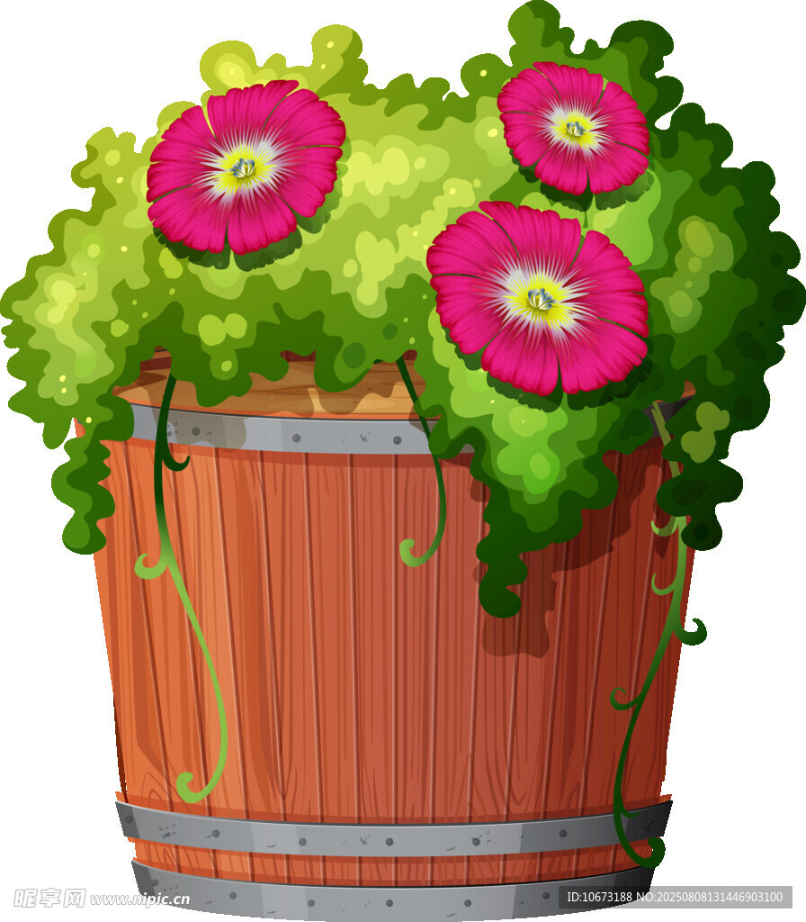 木桶中绽放的艳丽花朵