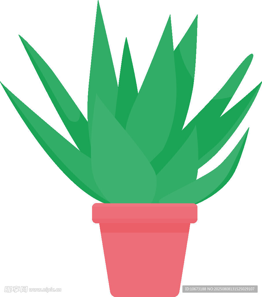 盆栽绿植插画