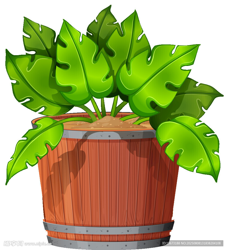 木桶中的翠绿植物