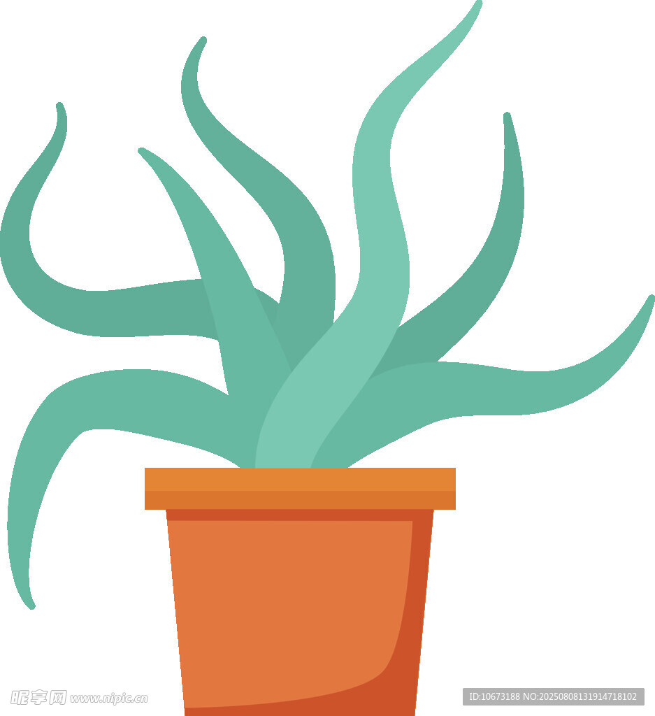 盆栽绿植插画