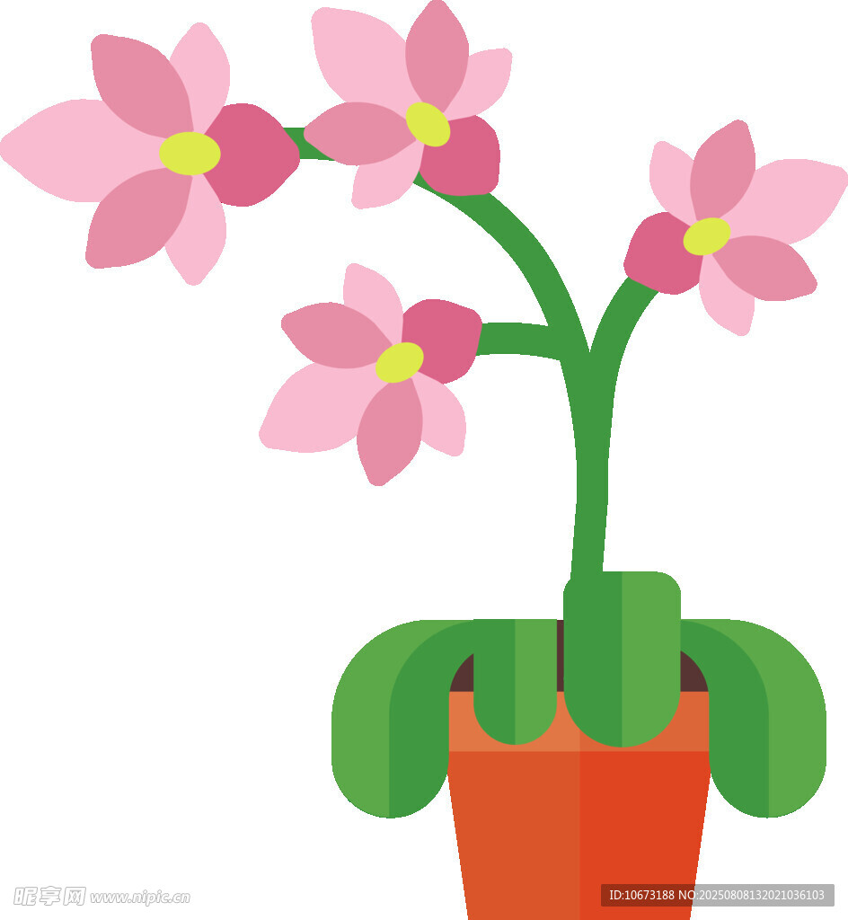粉色兰花盆栽插画