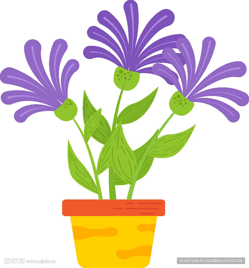 紫色盆栽花卉插画