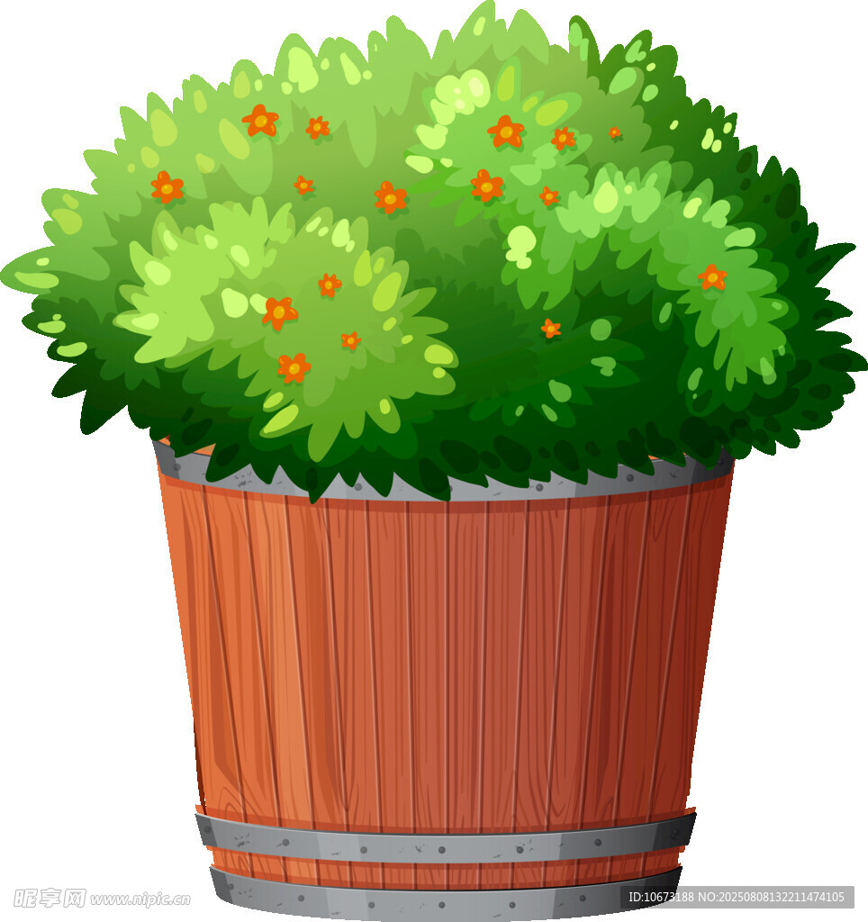 木桶中的绿植盆栽