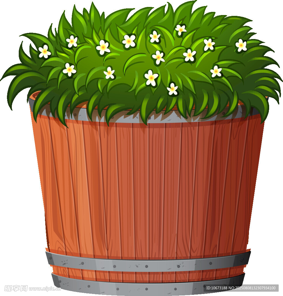 木桶中的绿植花卉