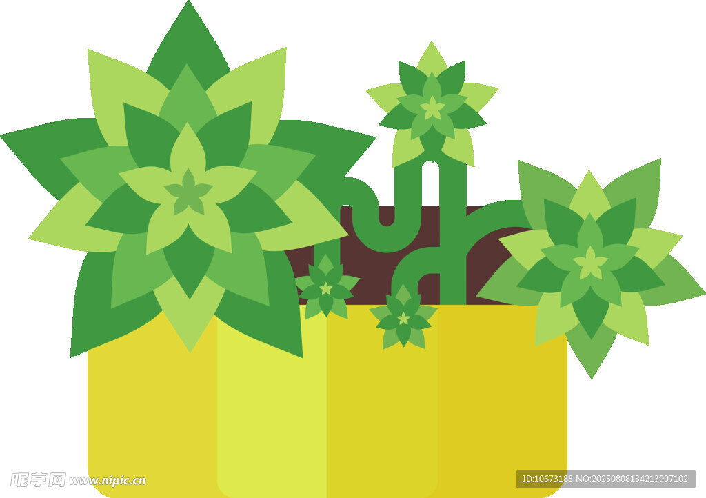 盆栽绿植插画