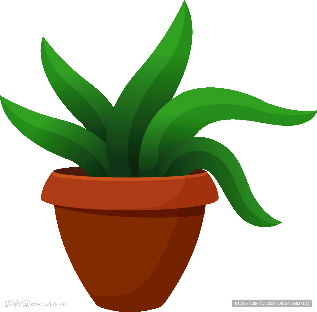 盆栽绿植清新室内小景