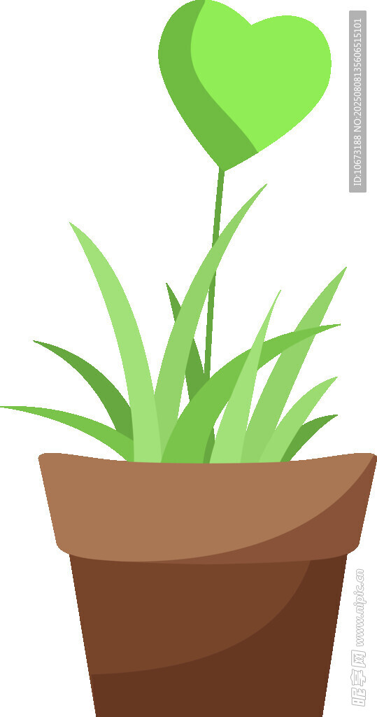 心形绿植盆栽