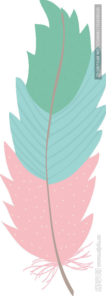 彩色羽毛插画