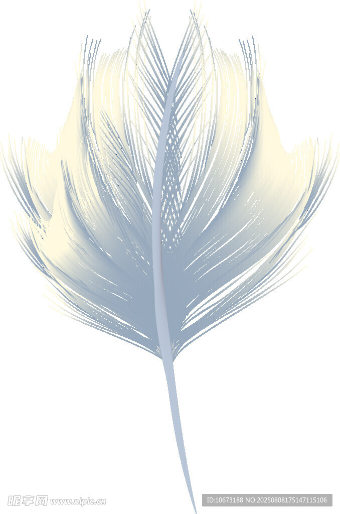 梦幻渐变羽毛插画