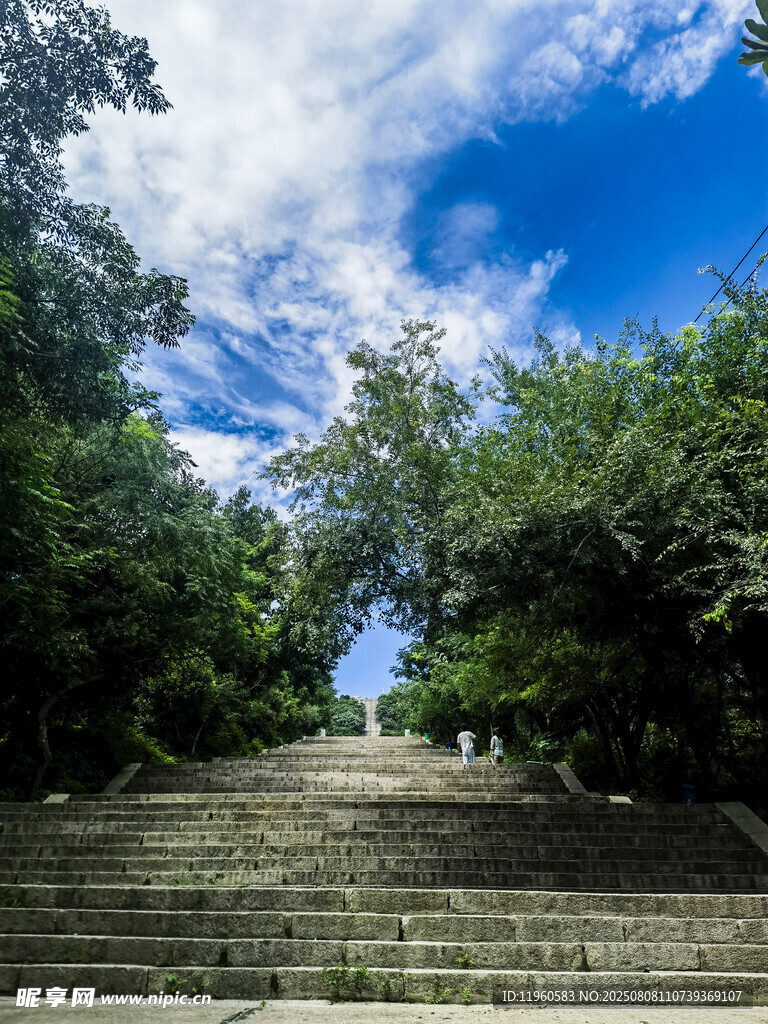 林间石阶通往蓝天白云