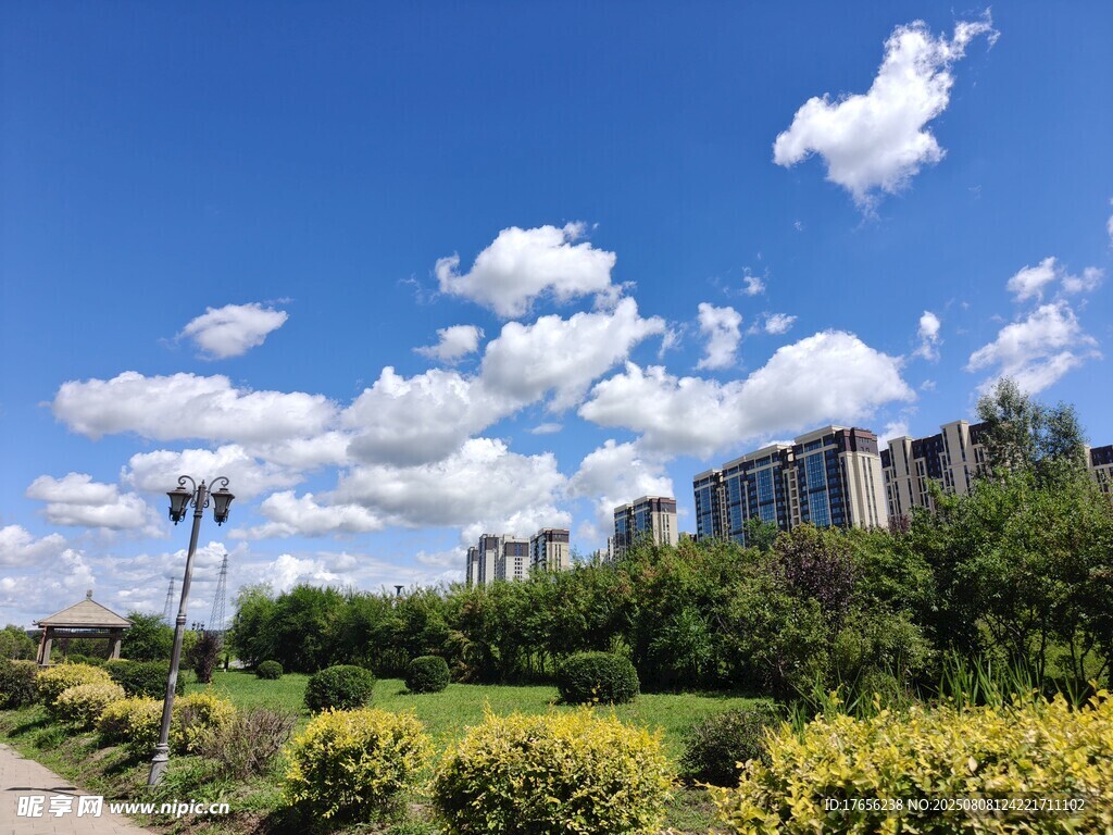 蓝天白云下的城市绿地景观