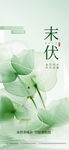 清新尤加利叶植物素材