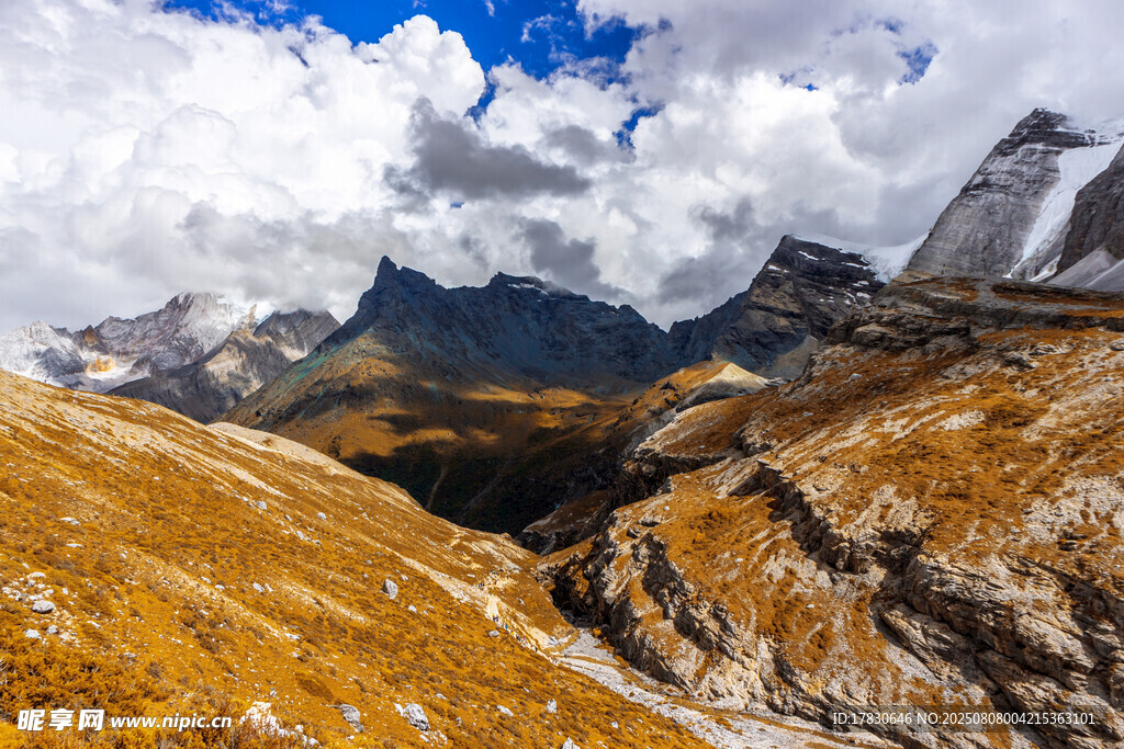 壮丽高山云海景观