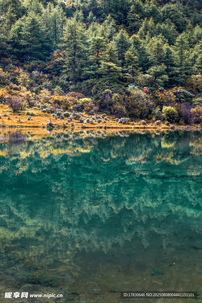 山间碧绿湖水森林倒影