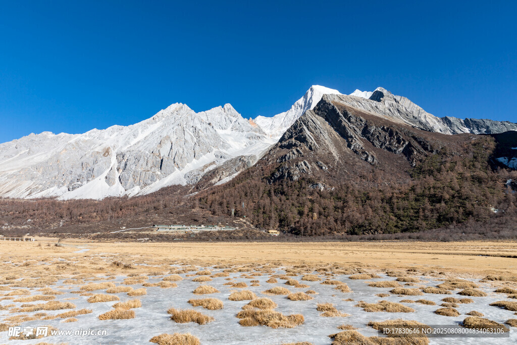 雪山下的广袤原野