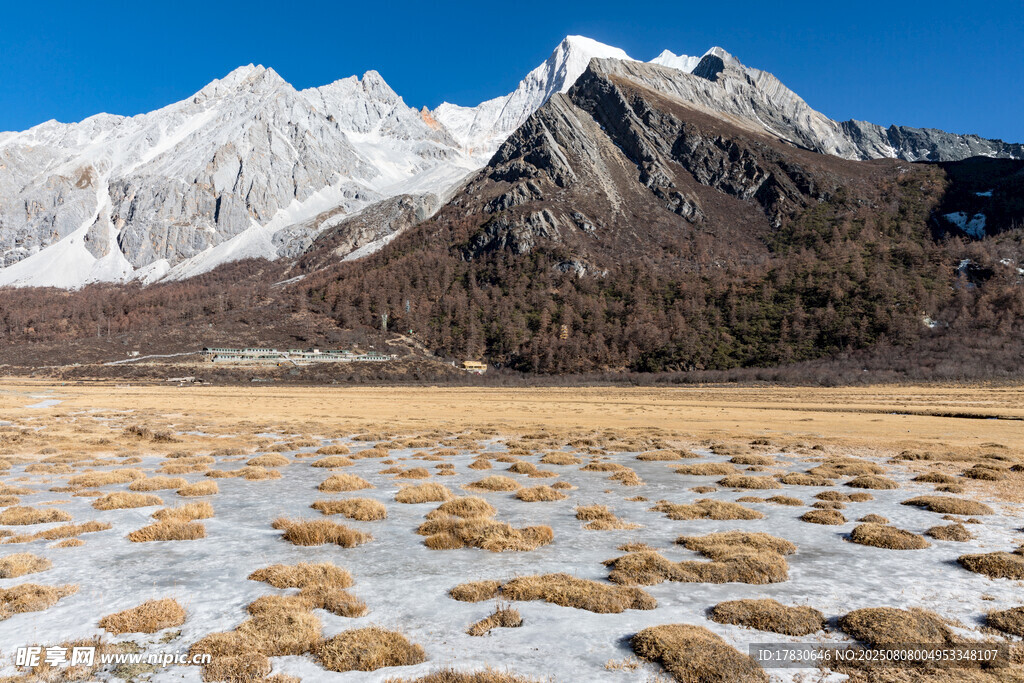 雪山下的广袤原野