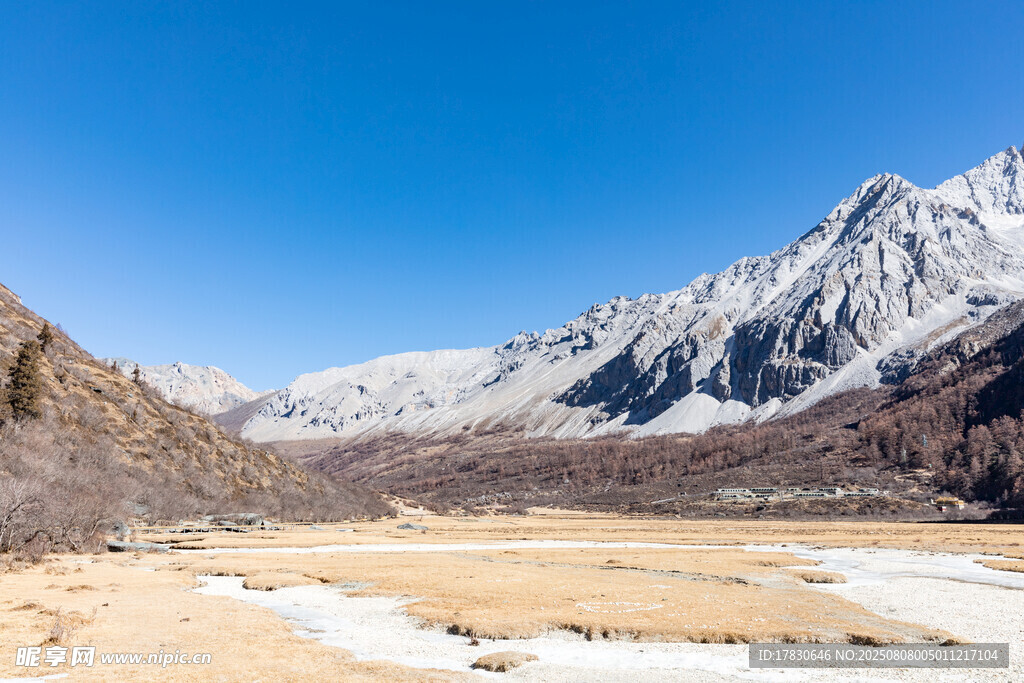 雪山下的开阔河谷风光