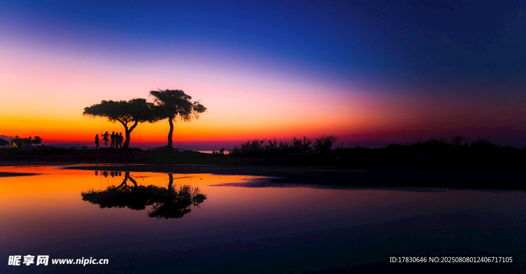 夕阳下的孤树与宁静水面