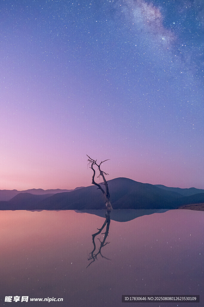 湖畔枯树映星空美景