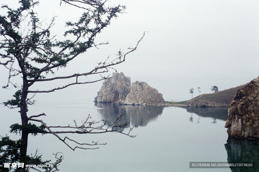 湖岸孤树与水中奇石