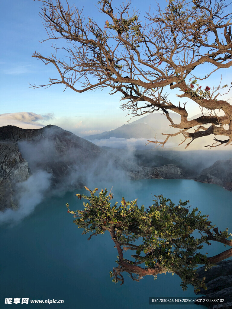 山间枯树映于蓝湖之上