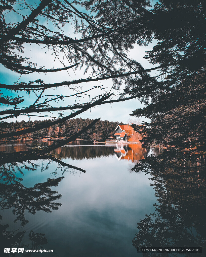 湖畔树影中的静谧建筑