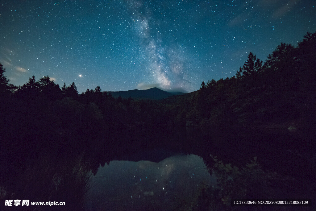 静谧山林中的璀璨星空