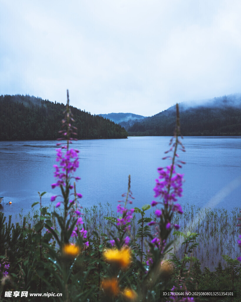 湖畔繁花与远山美景