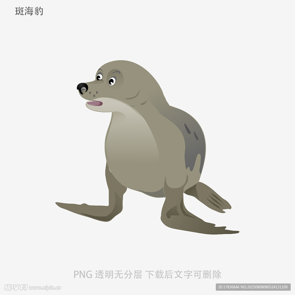 斑海豹