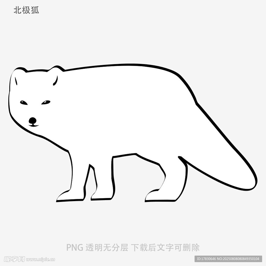 北极狐