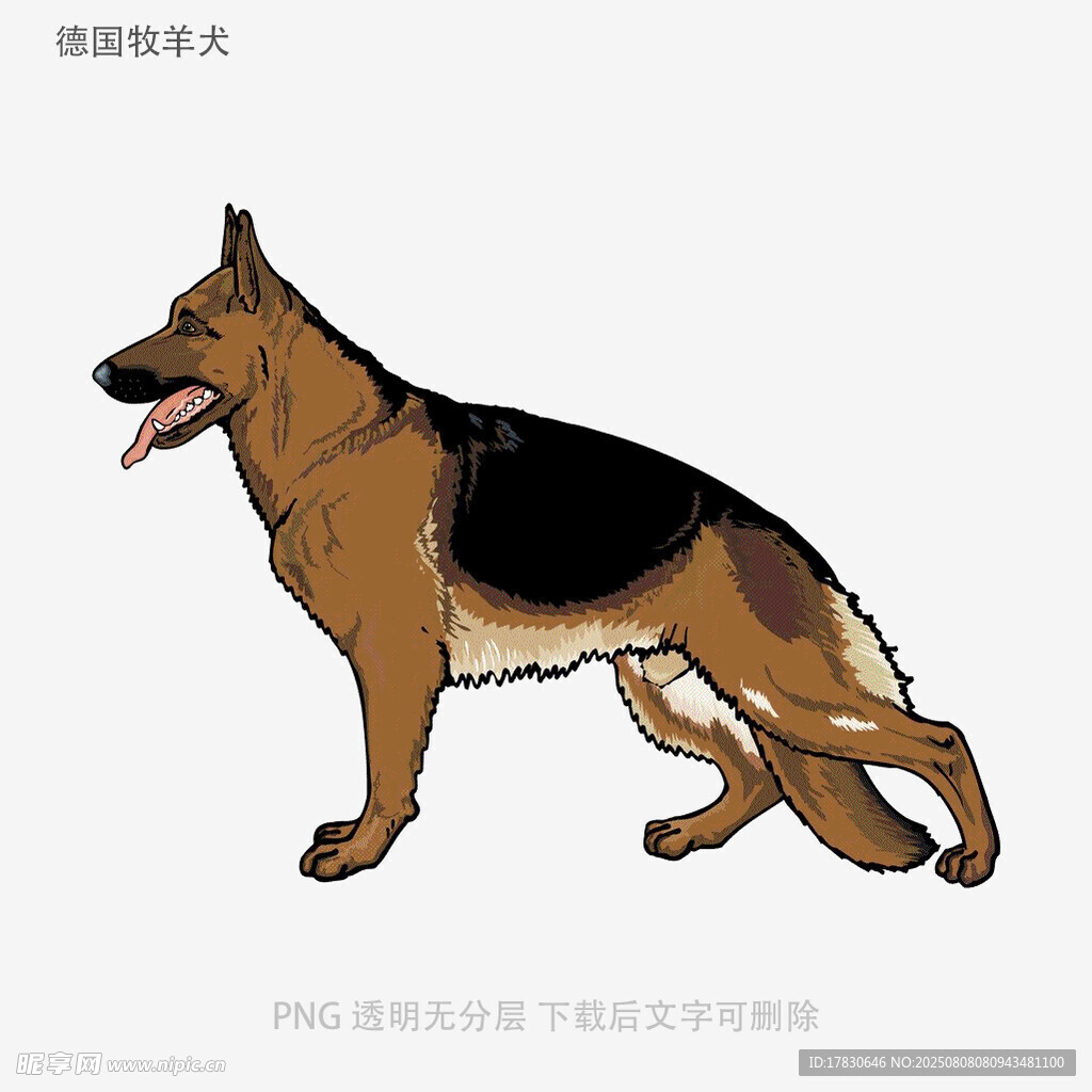德国牧羊犬