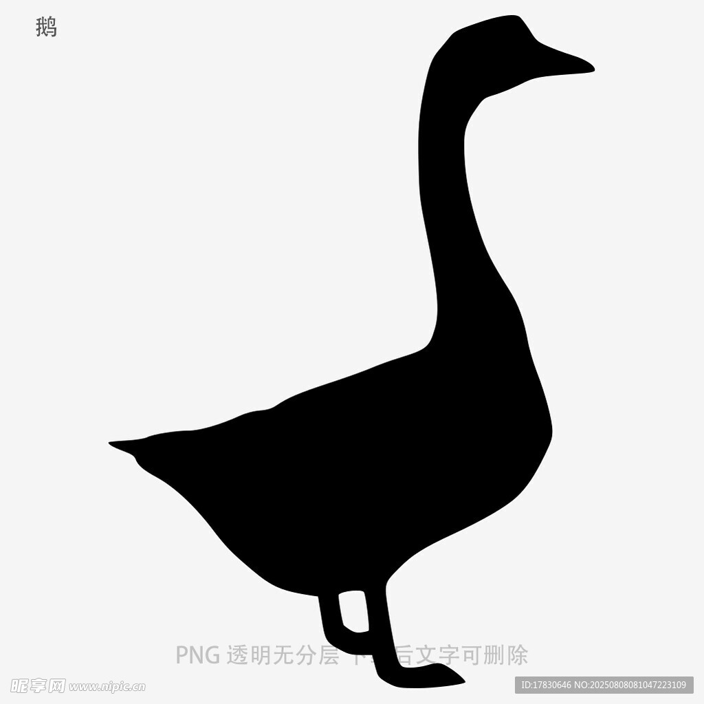 鹅