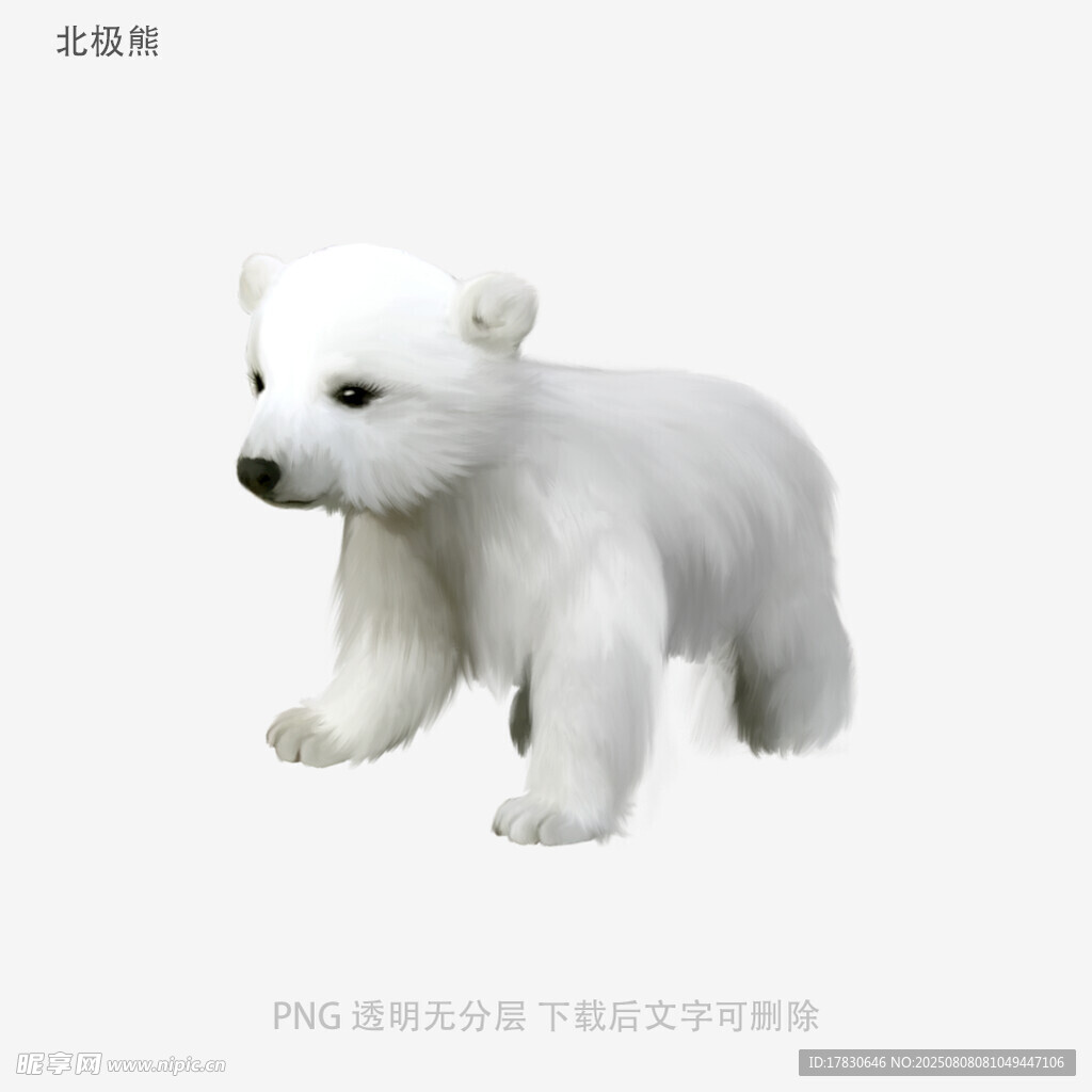 北极熊