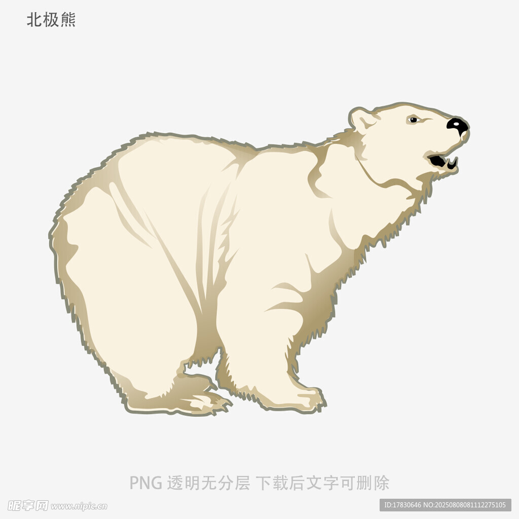 北极熊