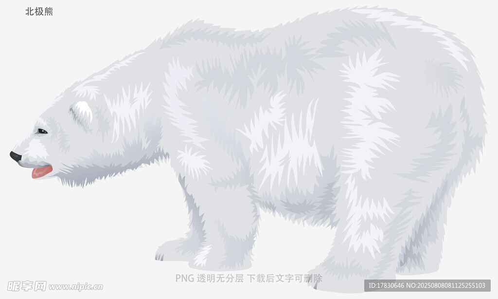 北极熊