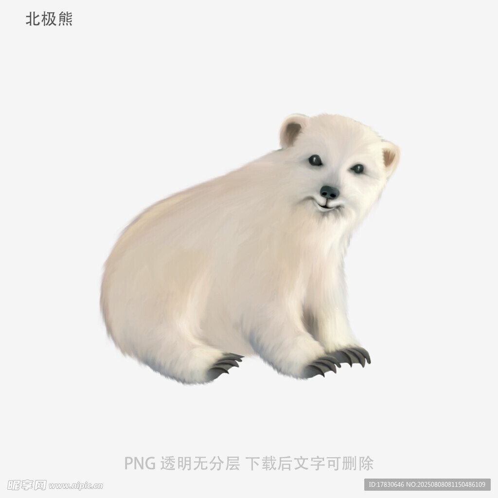 北极熊