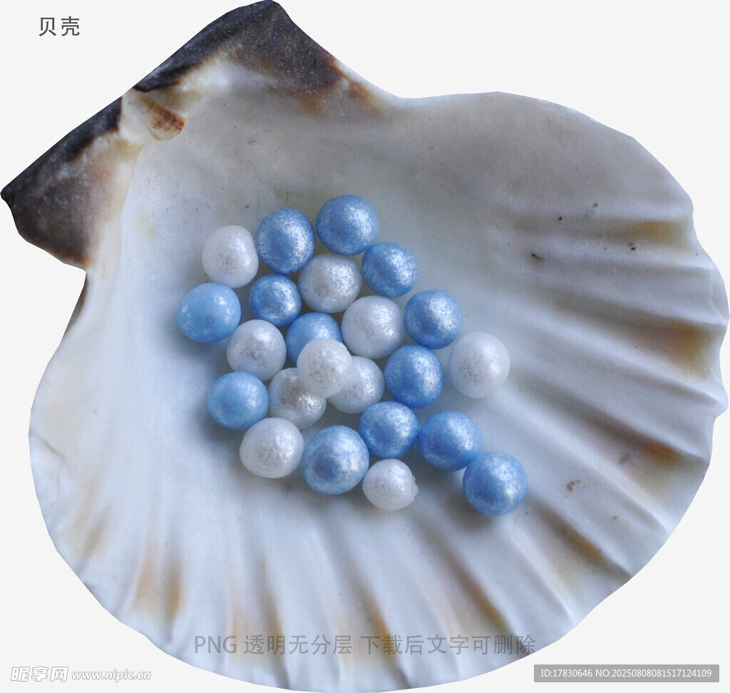 贝壳