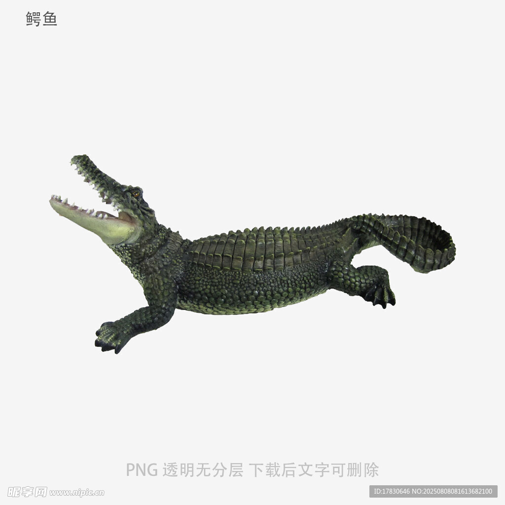 鳄鱼