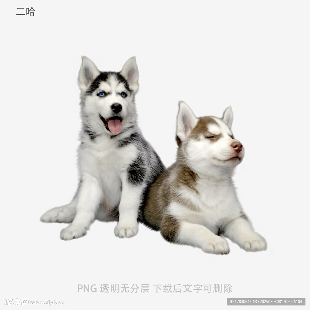 二哈