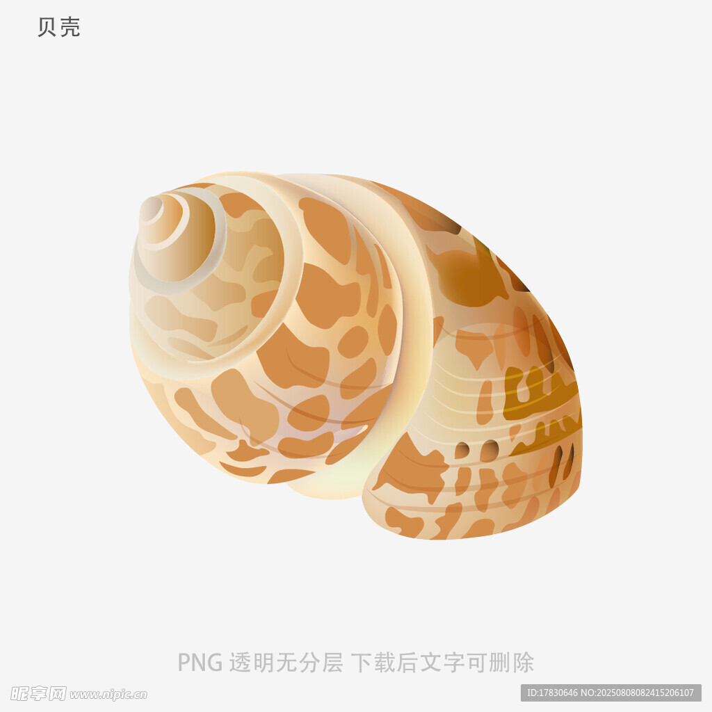 贝壳