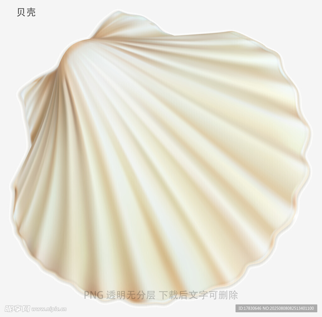 贝壳