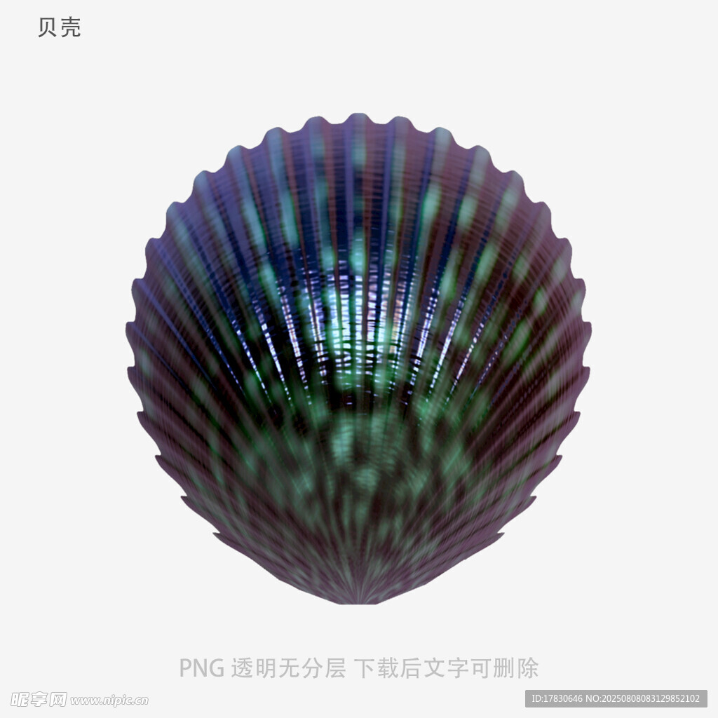 贝壳