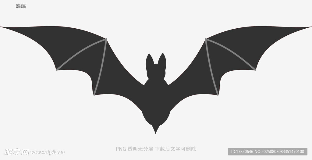 蝙蝠