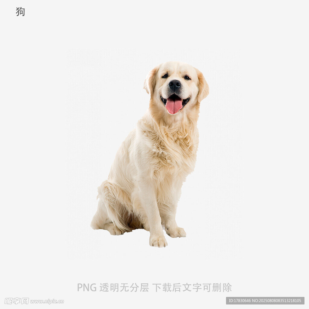 狗