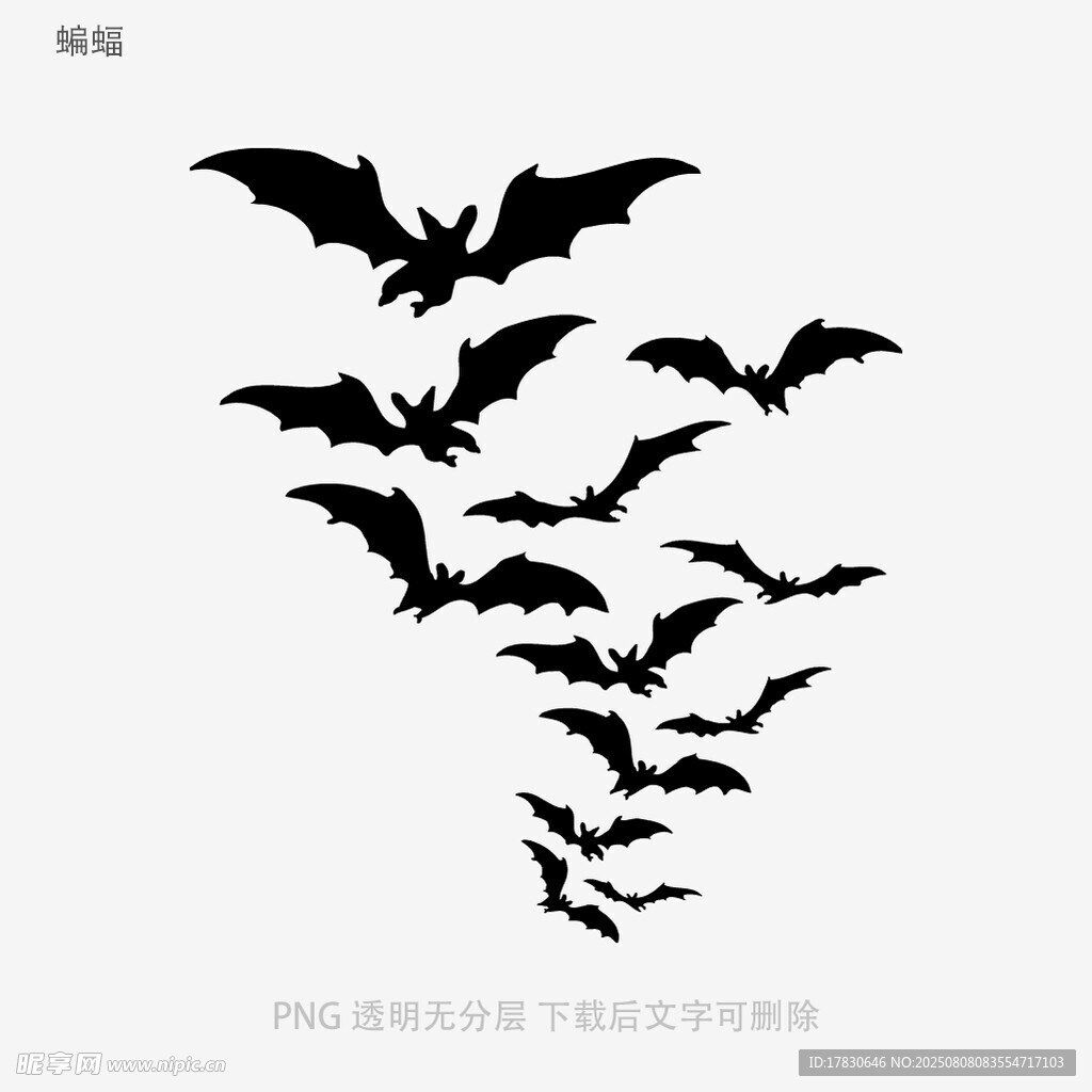 蝙蝠