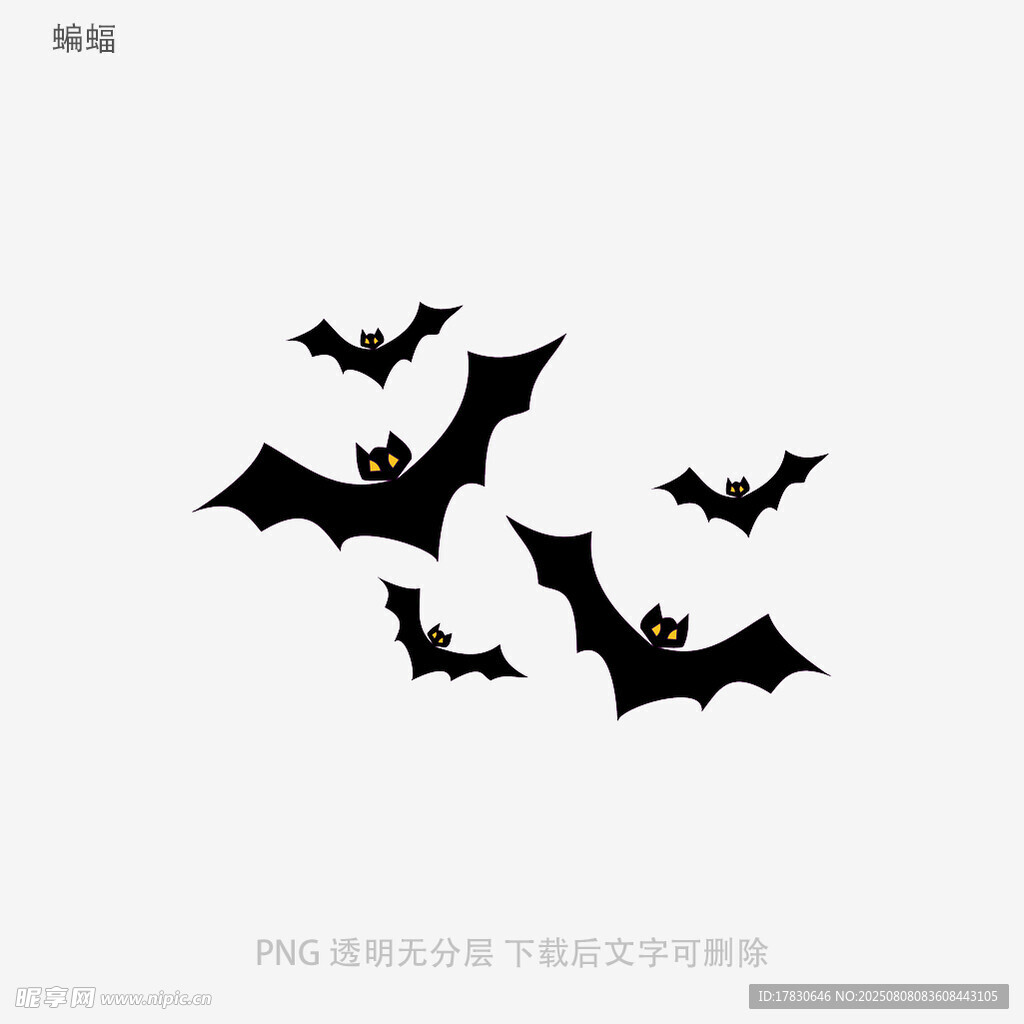 蝙蝠