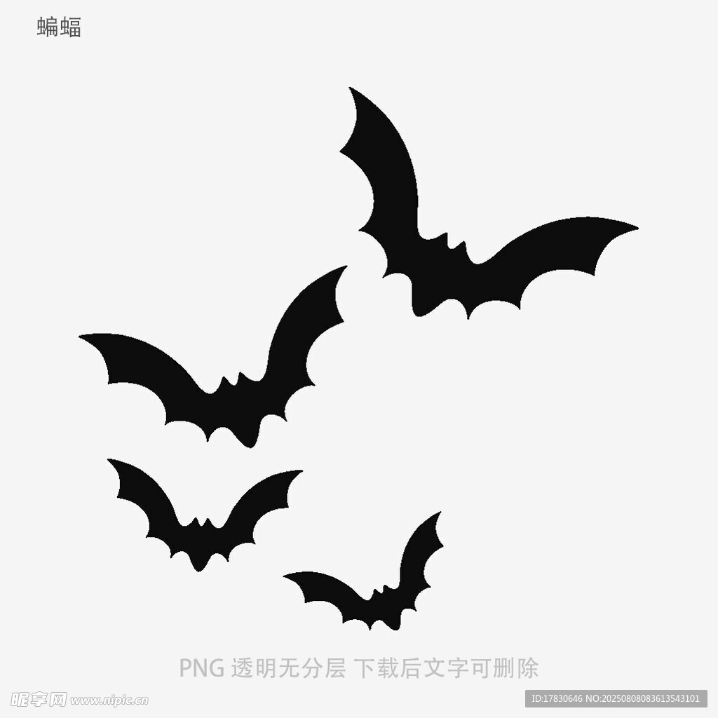 蝙蝠